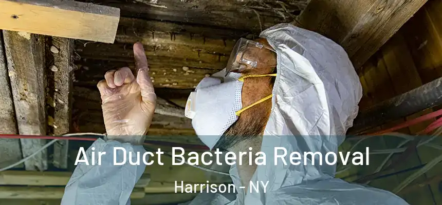  Air Duct Bacteria Removal Harrison - NY