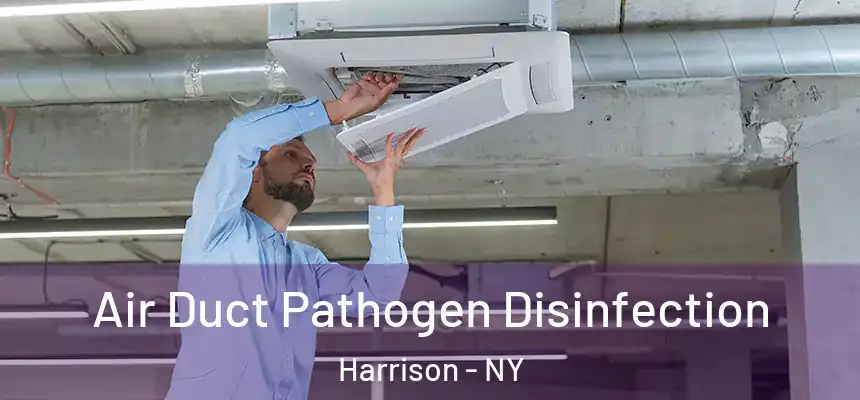 Air Duct Pathogen Disinfection Harrison - NY