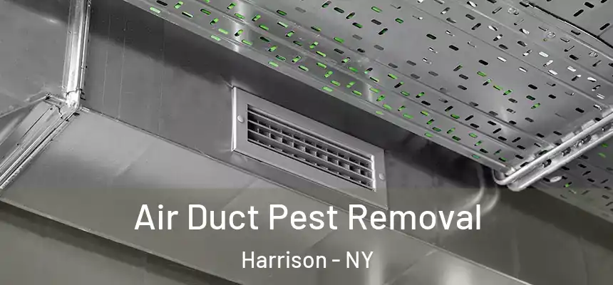 Air Duct Pest Removal Harrison - NY