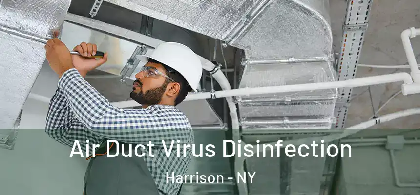Air Duct Virus Disinfection Harrison - NY