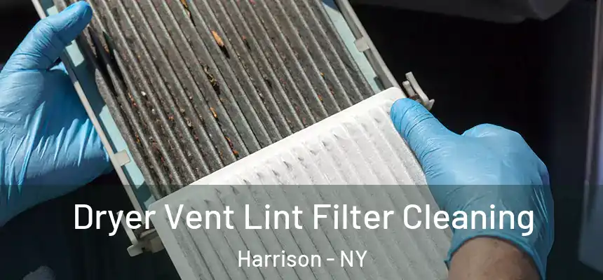 Dryer Vent Lint Filter Cleaning Harrison - NY