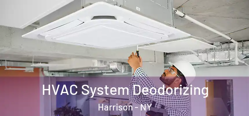 HVAC System Deodorizing Harrison - NY