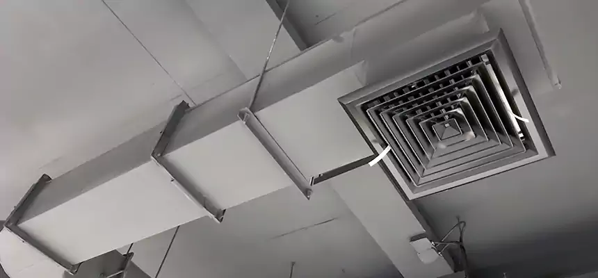 Our Pest Removal From Ducts Services in Harrison, NY