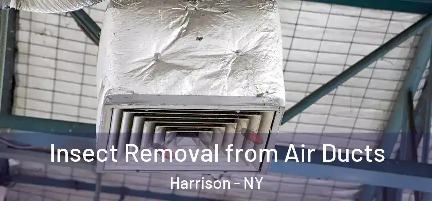 Insect Removal from Air Ducts Harrison - NY
