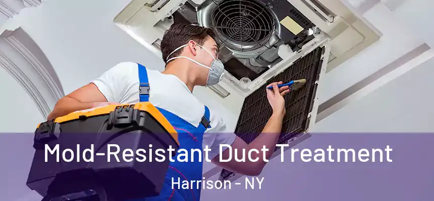 Mold-Resistant Duct Treatment Harrison - NY