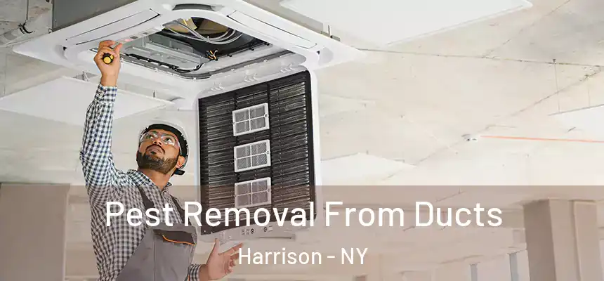 Pest Removal From Ducts Harrison - NY