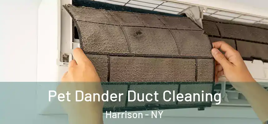  Pet Dander Duct Cleaning Harrison - NY