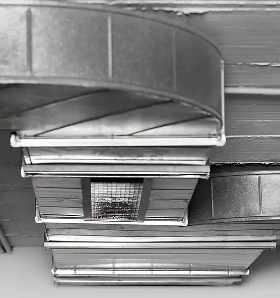 Professional Air Duct Pest Removal in Harrison, NY