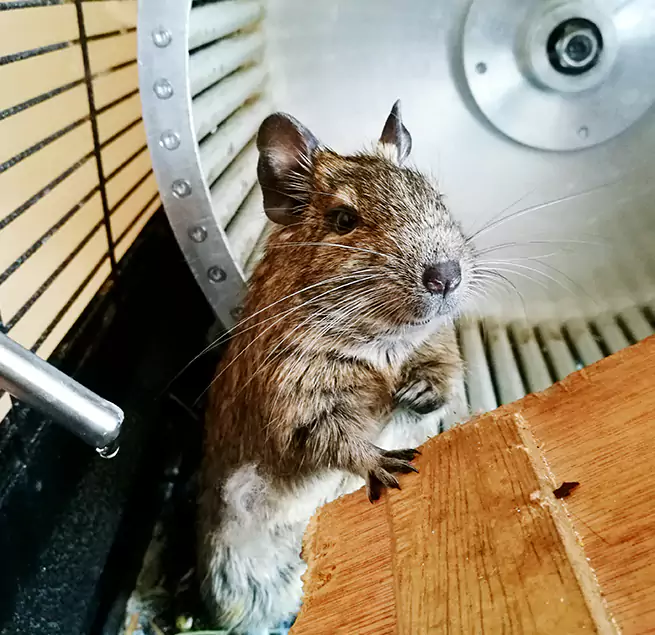 Why Homeowners & Businesses Trust Us Harrison, NY