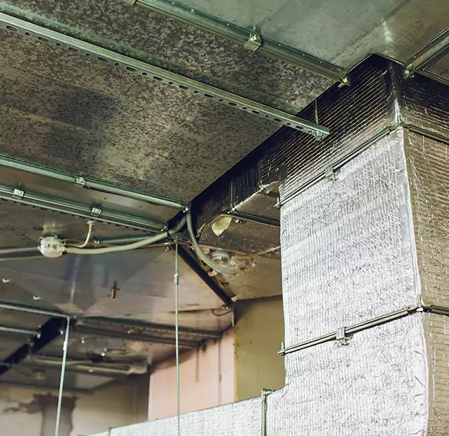 Why Homeowners & Businesses Trust Us in Harrison, NY?